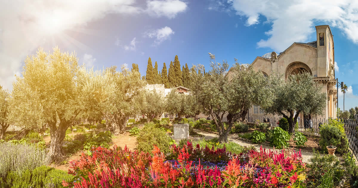 Garden of Gethsemane